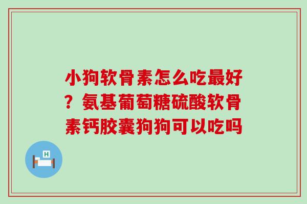 小狗软骨素怎么吃好？氨基葡萄糖硫酸软骨素钙胶囊狗狗可以吃吗
