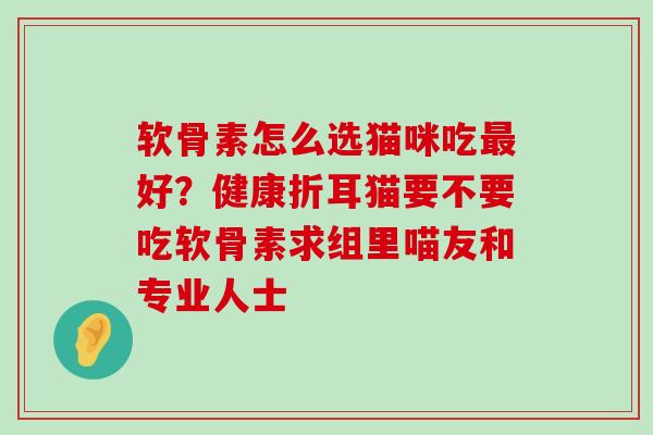 软骨素怎么选猫咪吃好?健康折耳猫要不要吃软骨素求组里喵友和专业人士 软骨素怎么选猫咪吃好?健康折耳猫要不要吃软骨素求组里喵友和专业人士