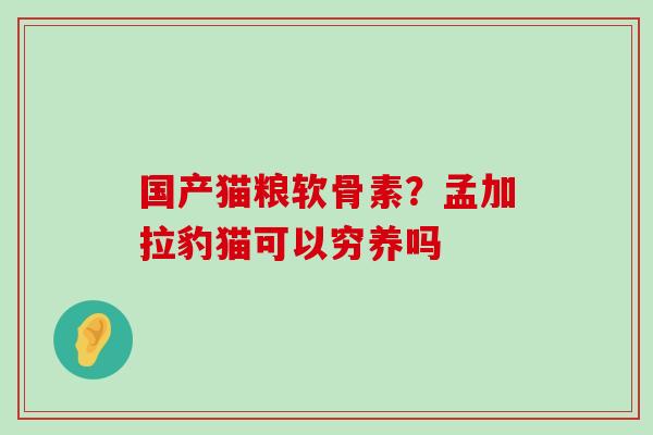 国产猫粮软骨素？孟加拉豹猫可以穷养吗