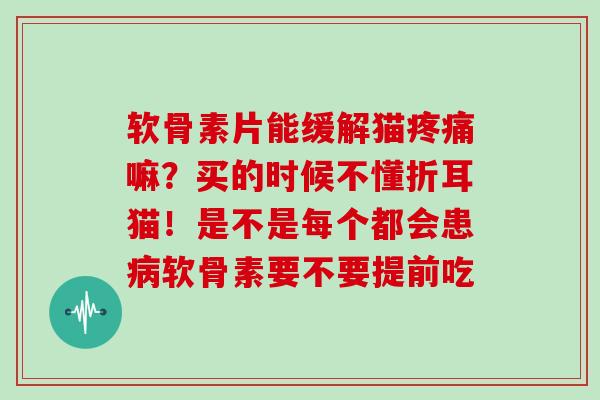 软骨素片能缓解猫嘛？买的时候不懂折耳猫！是不是每个都会患软骨素要不要提前吃