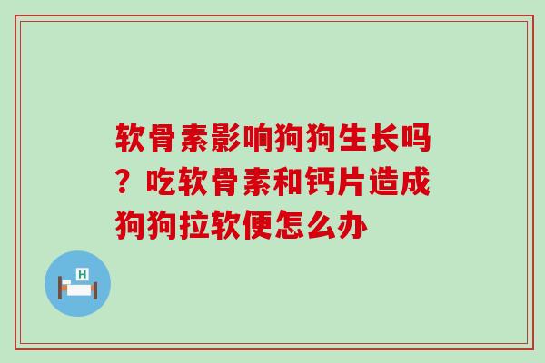 软骨素影响狗狗生长吗?吃软骨素和钙片造成狗狗拉软便怎么办 软骨素影响狗狗生长吗?吃软骨素和钙片造成狗狗拉软便怎么办