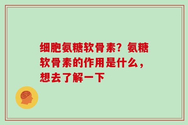 细胞氨糖软骨素?氨糖软骨素的作用是什么,想去了解一下 细胞氨糖软骨素?氨糖软骨素的作用是什么,想去了解一下