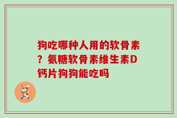 狗吃哪种人用的软骨素?氨糖软骨素维生素D钙片狗狗能吃吗 狗吃哪种人用的软骨素?氨糖软骨素维生素D钙片狗狗能吃吗