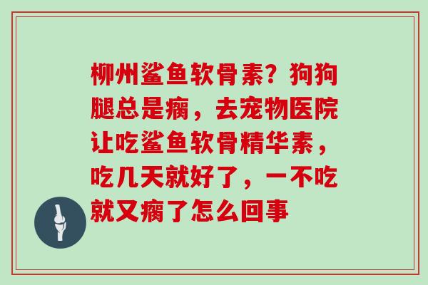 柳州鲨鱼软骨素?狗狗腿总是瘸,去宠物医院让吃鲨鱼软骨精华素,吃几天就好了,一不吃就又瘸了怎么回事 柳州鲨鱼软骨素?狗狗腿总是瘸,去宠物医院让吃鲨鱼软骨精华素,吃几天就好了,一不吃就又瘸了怎么回事