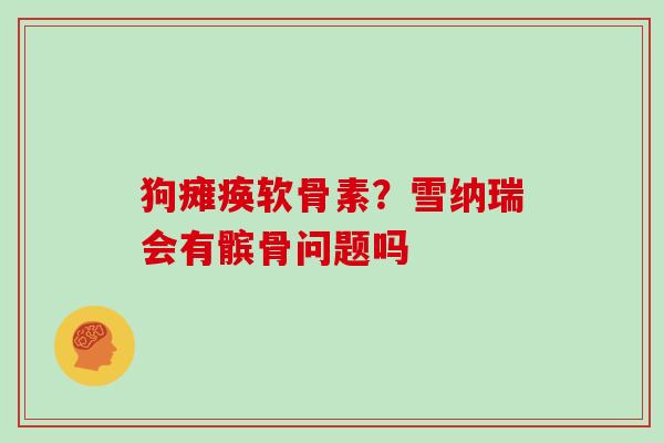 狗瘫痪软骨素?雪纳瑞会有髌骨问题吗 狗瘫痪软骨素?雪纳瑞会有髌骨问题吗