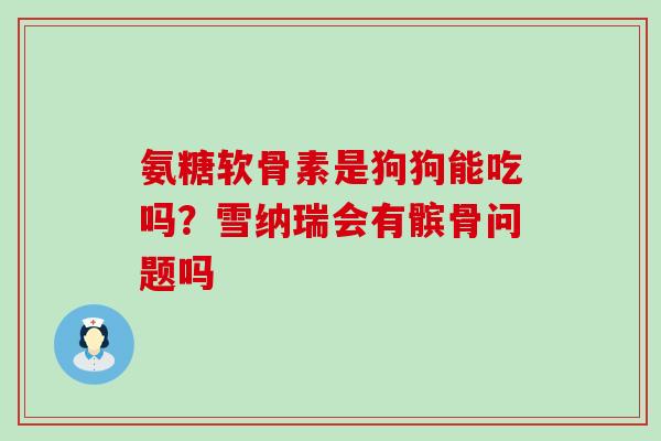 氨糖软骨素是狗狗能吃吗？雪纳瑞会有髌骨问题吗