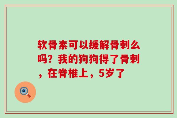 软骨素可以缓解么吗?我的狗狗得了,在脊椎上,5岁了 软骨素可以缓解么吗?我的狗狗得了,在脊椎上,5岁了
