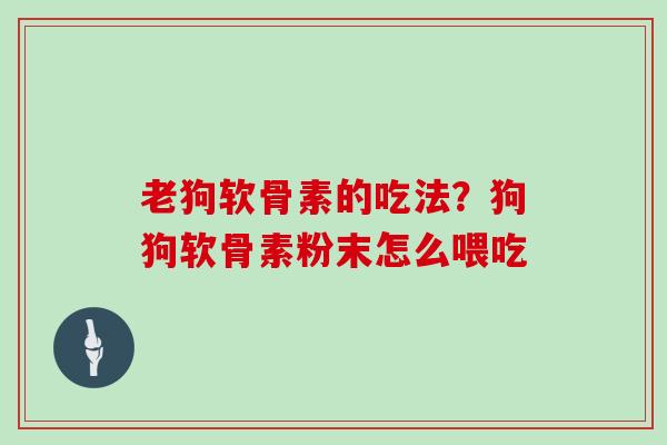 老狗软骨素的吃法？狗狗软骨素粉末怎么喂吃