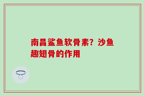 南昌鲨鱼软骨素？沙鱼趣翅骨的作用