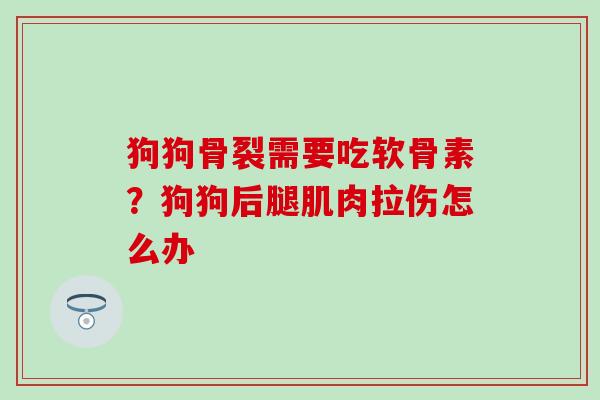 狗狗骨裂需要吃软骨素?狗狗后腿肌肉拉伤怎么办 狗狗骨裂需要吃软骨素?狗狗后腿肌肉拉伤怎么办