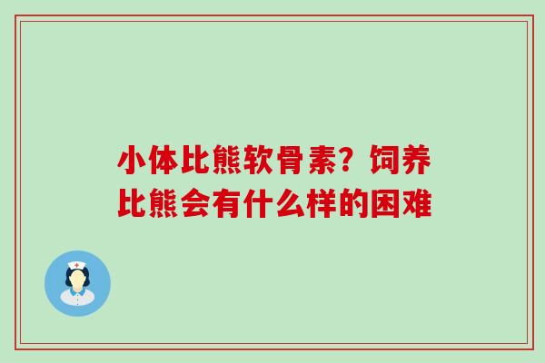 小体比熊软骨素？饲养比熊会有什么样的困难