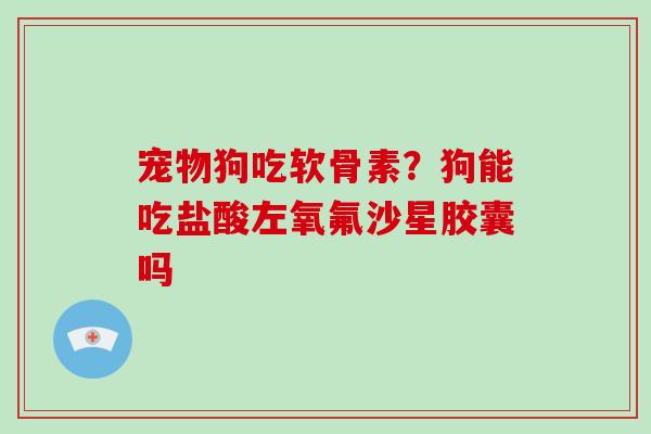 宠物狗吃软骨素？狗能吃盐酸左氧氟沙星胶囊吗