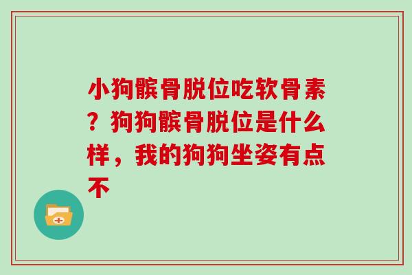 小狗髌骨脱位吃软骨素？狗狗髌骨脱位是什么样，我的狗狗坐姿有点不