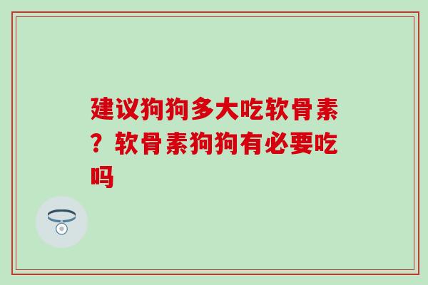 建议狗狗多大吃软骨素？软骨素狗狗有必要吃吗