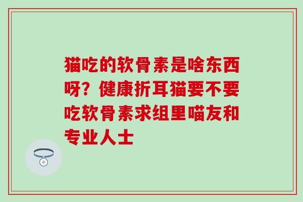 猫吃的软骨素是啥东西呀？健康折耳猫要不要吃软骨素求组里喵友和专业人士
