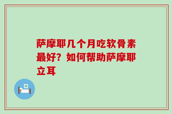 萨摩耶几个月吃软骨素好？如何帮助萨摩耶立耳