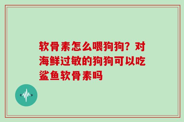 软骨素怎么喂狗狗？对海鲜的狗狗可以吃鲨鱼软骨素吗
