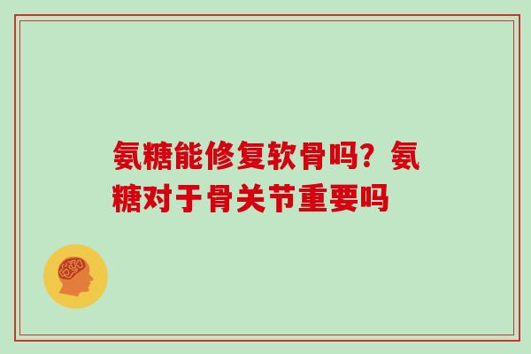 氨糖能修复软骨吗？氨糖对于骨关节重要吗