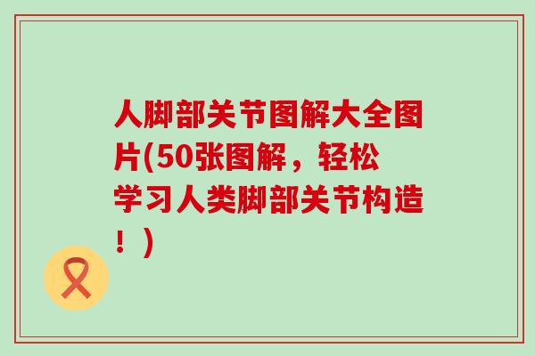 人脚部关节图解大全图片(50张图解，轻松学习人类脚部关节构造！)
