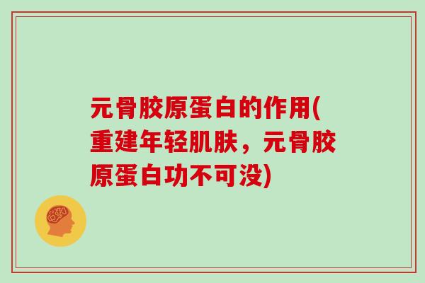 元骨胶原蛋白的作用(重建年轻，元骨胶原蛋白功不可没)