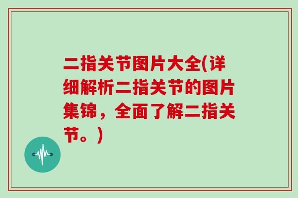 二指关节图片大全(详细解析二指关节的图片集锦，全面了解二指关节。)