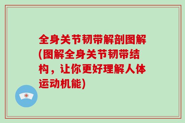 全身关节韧带解剖图解(图解全身关节韧带结构，让你更好理解人体运动机能)