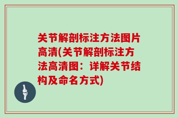 关节解剖标注方法图片高清(关节解剖标注方法高清图:详解关节结构及命名方式) 关节解剖标注方法图片高清(关节解剖标注方法高清图:详解关节结构及命名方式)