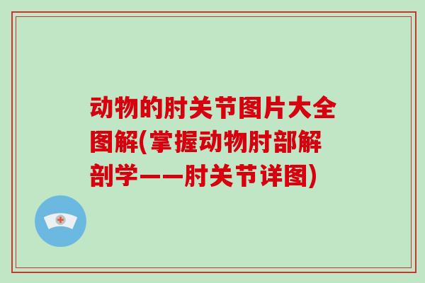动物的肘关节图片大全图解(掌握动物肘部解剖学——肘关节详图)