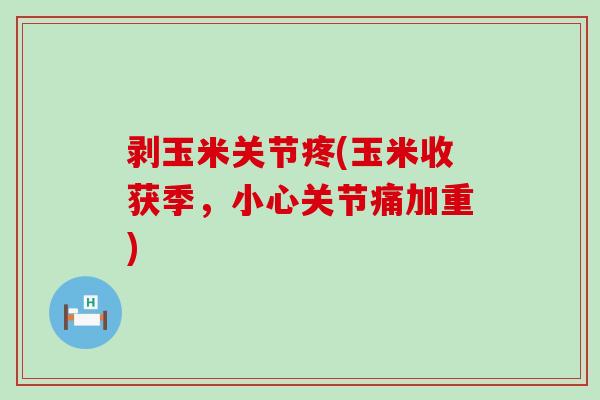 剥玉米关节疼(玉米收获季,小心关节痛加重) 剥玉米关节疼(玉米收获季,小心关节痛加重)