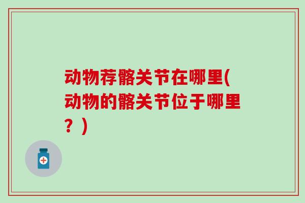 动物荐髂关节在哪里(动物的髂关节位于哪里？)