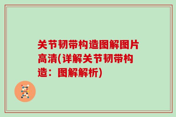 关节韧带构造图解图片高清(详解关节韧带构造：图解解析)