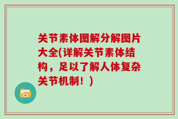 关节素体图解分解图片大全(详解关节素体结构,足以了解人体复杂关节机制!) 关节素体图解分解图片大全(详解关节素体结构,足以了解人体复杂关节机制!)