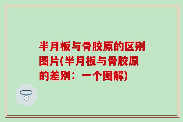 与骨胶原的区别图片(与骨胶原的差别：一个图解)