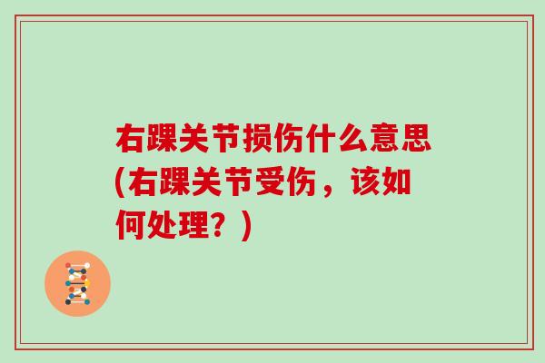 右踝关节损伤什么意思(右踝关节受伤,该如何处理?) 右踝关节损伤什么意思(右踝关节受伤,该如何处理?)