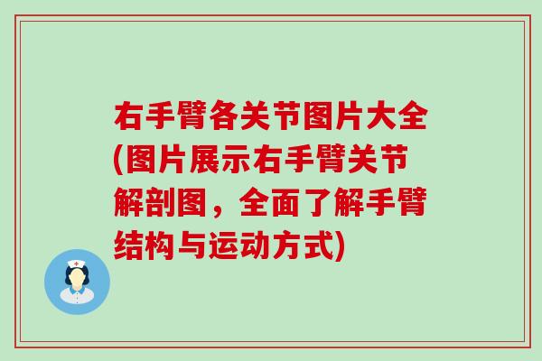 右手臂各关节图片大全(图片展示右手臂关节解剖图,全面了解手臂结构与运动方式) 右手臂各关节图片大全(图片展示右手臂关节解剖图,全面了解手臂结构与运动方式)