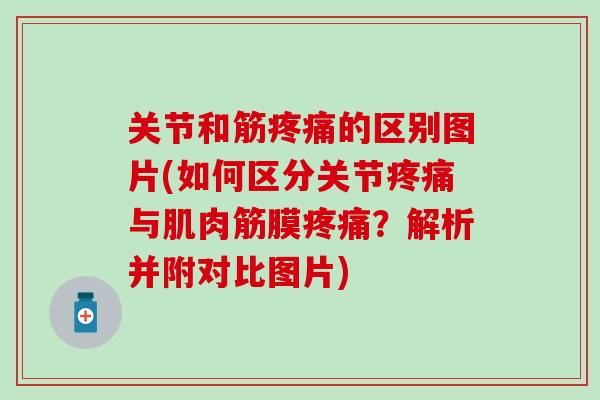 关节和筋的区别图片(如何区分关节与肌肉筋膜?解析并附对比图片) 关节和筋的区别图片(如何区分关节与肌肉筋膜?解析并附对比图片)