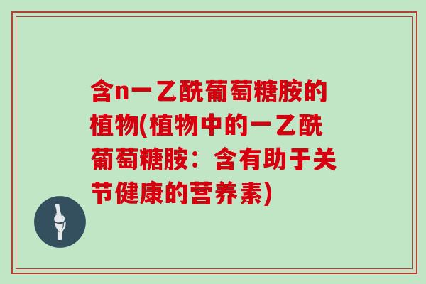 含n一乙酰葡萄糖胺的植物(植物中的一乙酰葡萄糖胺:含有助于关节健康的营养素) 含n一乙酰葡萄糖胺的植物(植物中的一乙酰葡萄糖胺:含有助于关节健康的营养素)