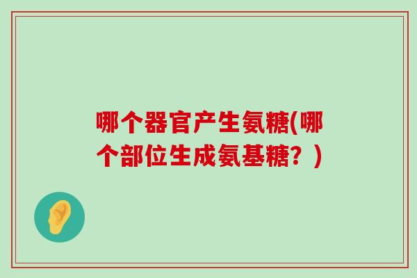 哪个器官产生氨糖(哪个部位生成氨基糖？)