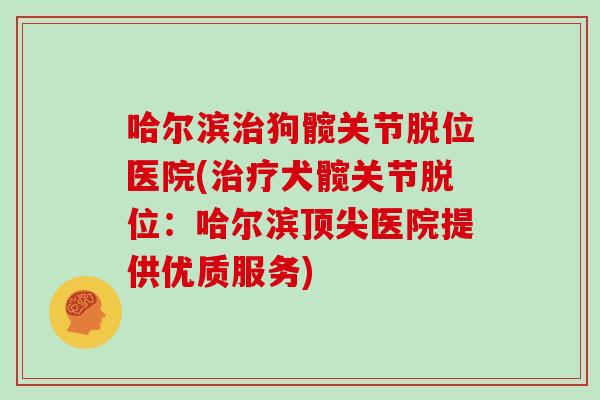 哈尔滨狗髋关节脱位医院(犬髋关节脱位：哈尔滨医院提供优质服务)