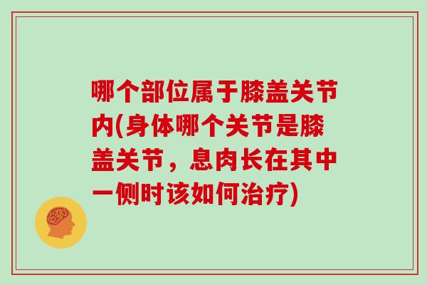 哪个部位属于膝盖关节内(身体哪个关节是膝盖关节,息肉长在其中一侧时该如何) 哪个部位属于膝盖关节内(身体哪个关节是膝盖关节,息肉长在其中一侧时该如何)