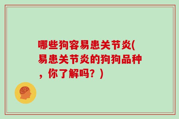 哪些狗容易患(易患的狗狗品种，你了解吗？)