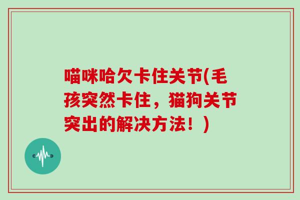 喵咪哈欠卡住关节(毛孩突然卡住,猫狗关节突出的解决方法!) 喵咪哈欠卡住关节(毛孩突然卡住,猫狗关节突出的解决方法!)