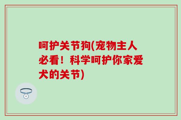 呵护关节狗(宠物主人必看！科学呵护你家爱犬的关节)