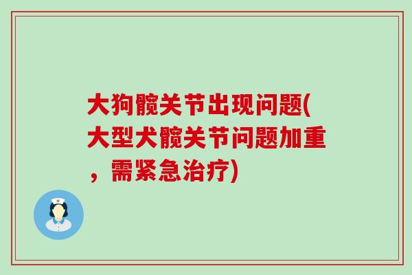 大狗髋关节出现问题(大型犬髋关节问题加重,需紧急) 大狗髋关节出现问题(大型犬髋关节问题加重,需紧急)