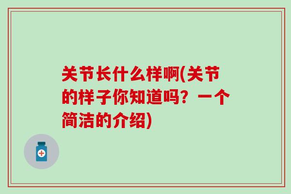 关节长什么样啊(关节的样子你知道吗？一个简洁的介绍)