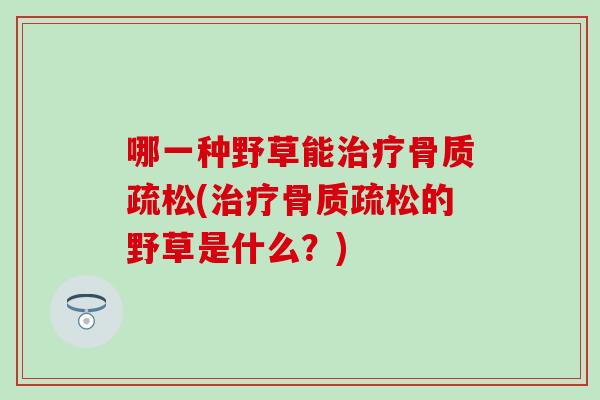 哪一种野草能(的野草是什么?) 哪一种野草能(的野草是什么?)