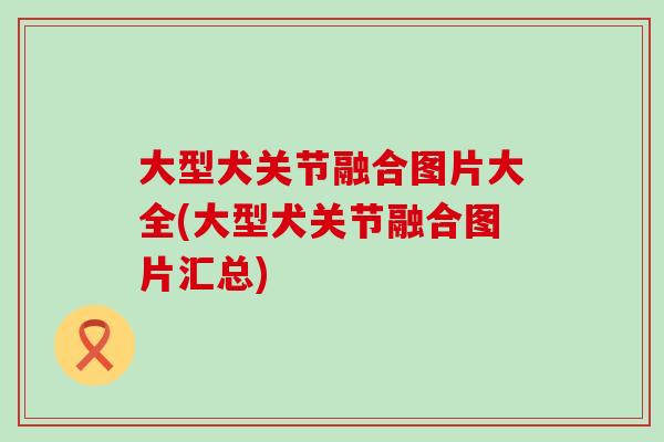 大型犬关节融合图片大全(大型犬关节融合图片汇总) 大型犬关节融合图片大全(大型犬关节融合图片汇总)