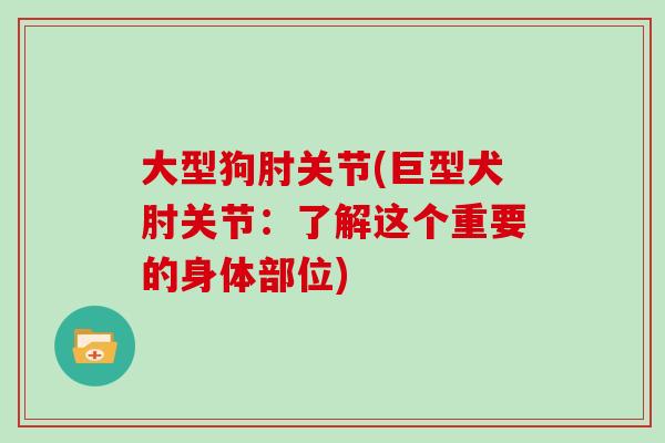 大型狗肘关节(巨型犬肘关节:了解这个重要的身体部位) 大型狗肘关节(巨型犬肘关节:了解这个重要的身体部位)