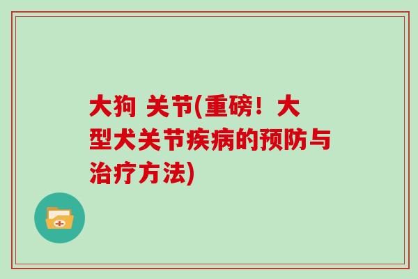 大狗 关节(重磅！大型犬关节的与方法)