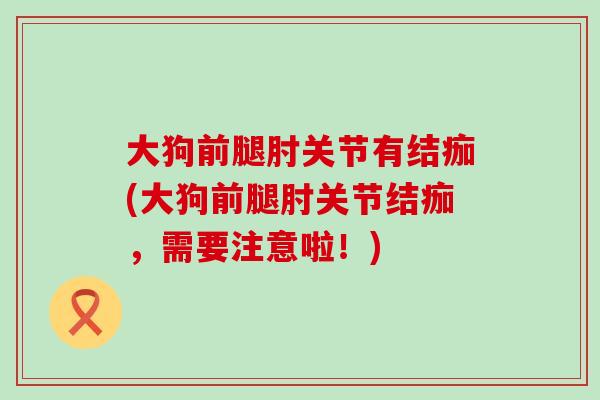 大狗前腿肘关节有结痂(大狗前腿肘关节结痂，需要注意啦！)